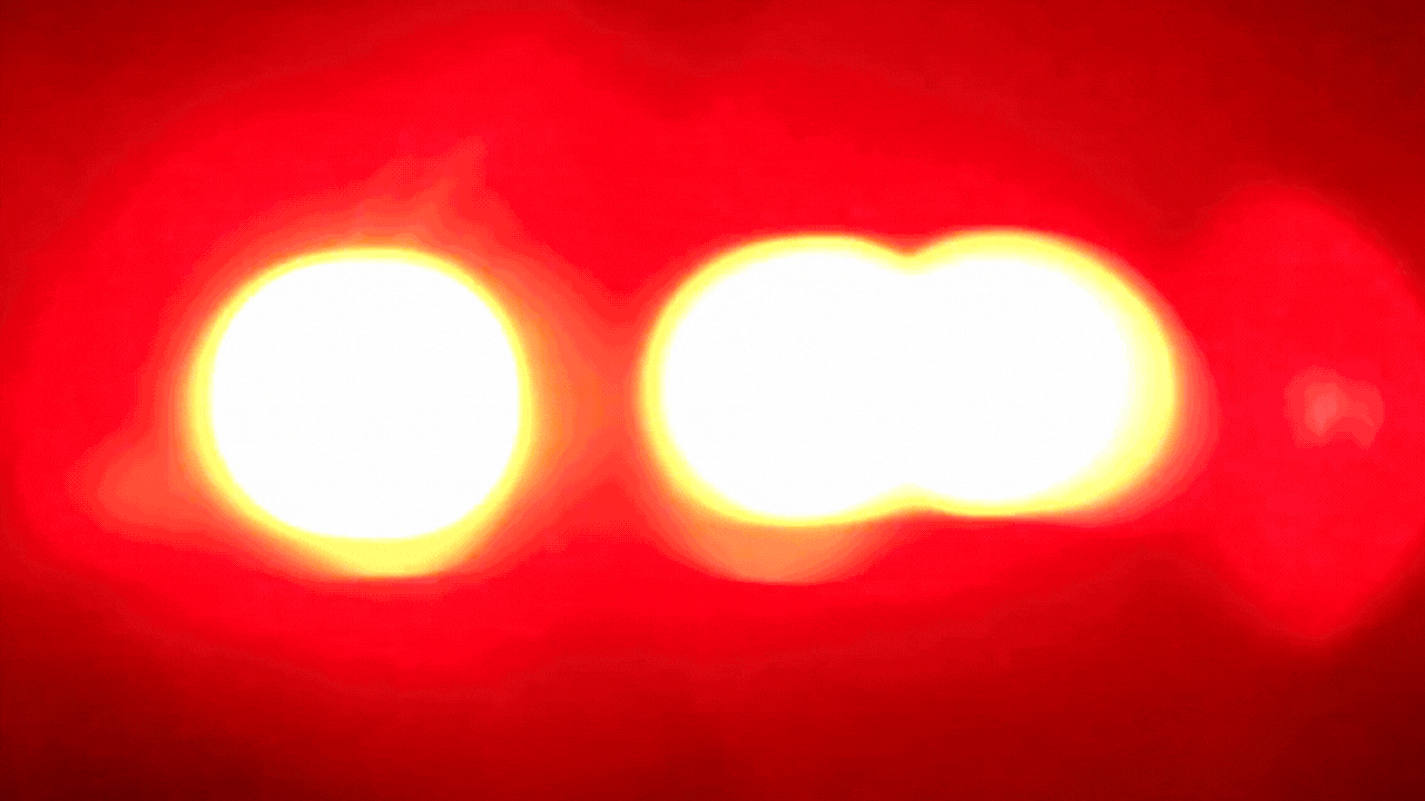 ⚠️WallStreetBets Discord Is Collapsing — And Traders Say a New Leader Has Already Taken Over